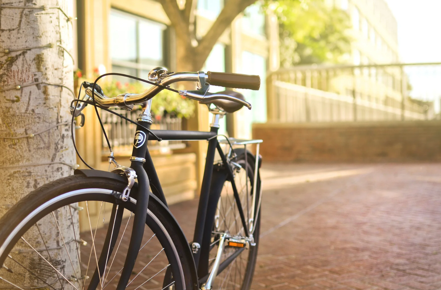 CITY CLASSIC BIKE - 8 SPEED